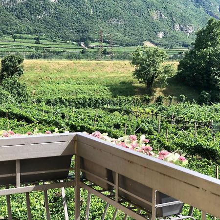 Affittacamere Vignola Avio Ngoại thất bức ảnh
